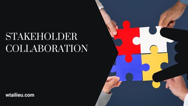 Stakeholder Collaboration