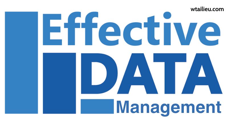 The Foundation of Effective Data Management