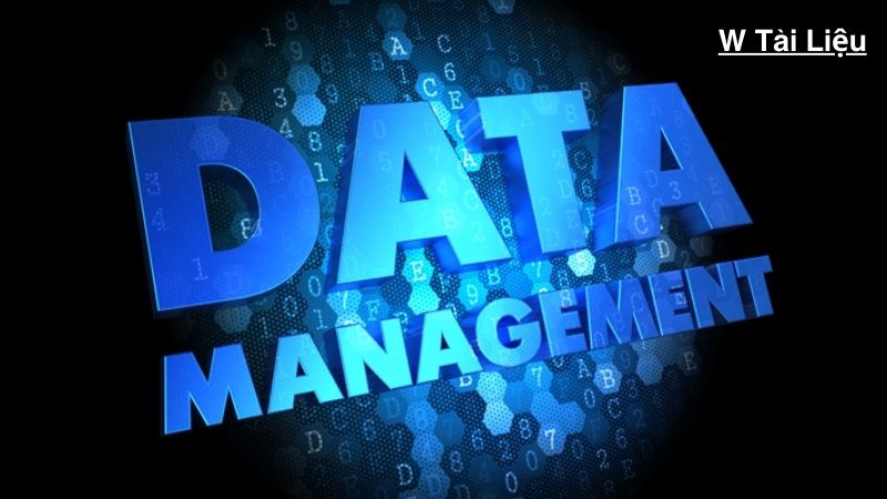The Foundation of Data Management