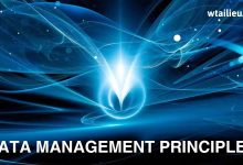 Data Management Principles