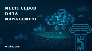 Multi Cloud Data Management