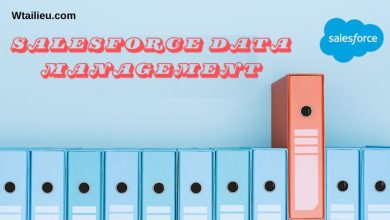 Salesforce Data Management